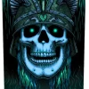 POWELL PERALTA ANDY ANDERSON HERON SKULL 9.13" TAVOLA SKATEBOARD
